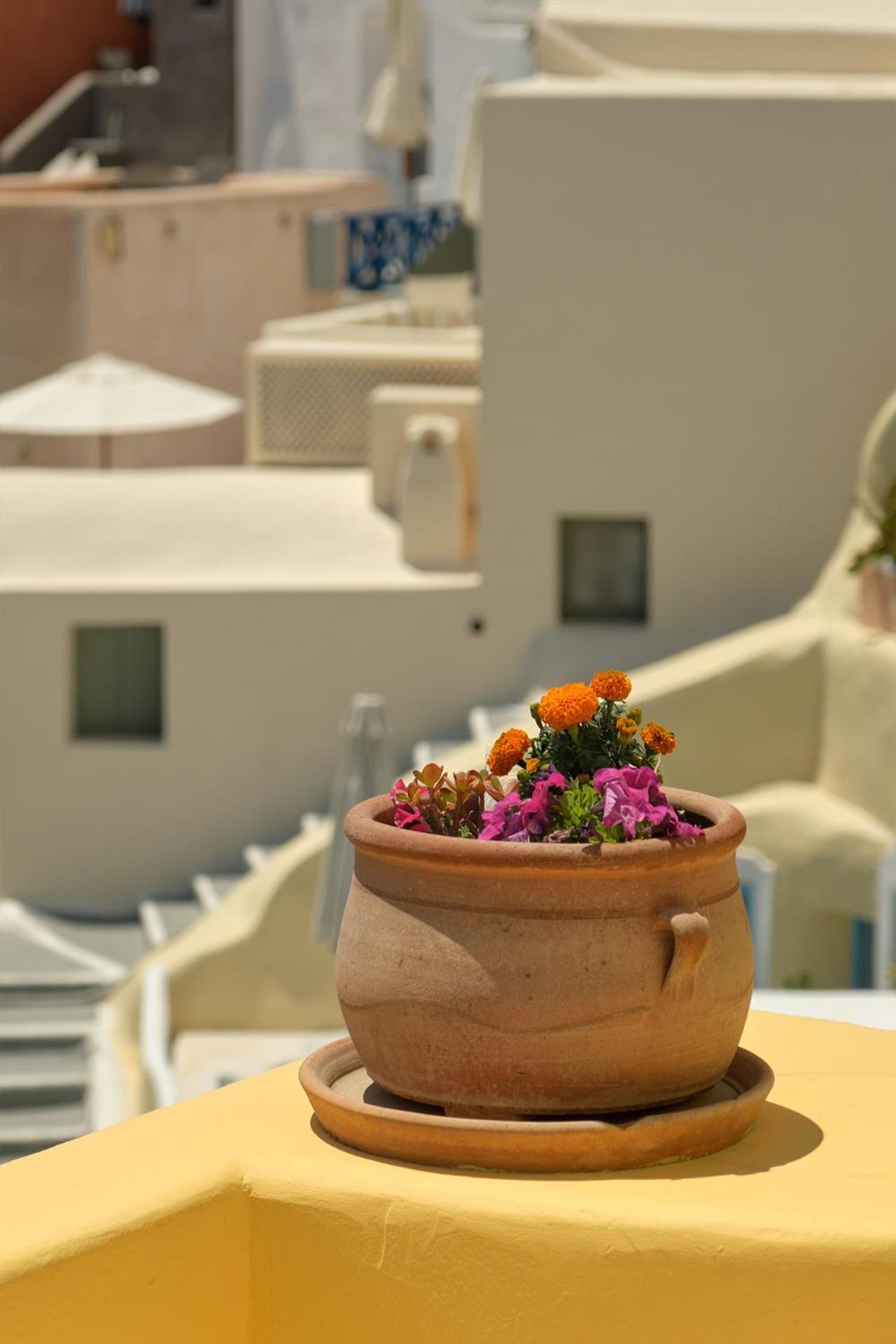 Ilivatos - Elegant Villa On The Caldera'S Edge Oia  Exterior photo